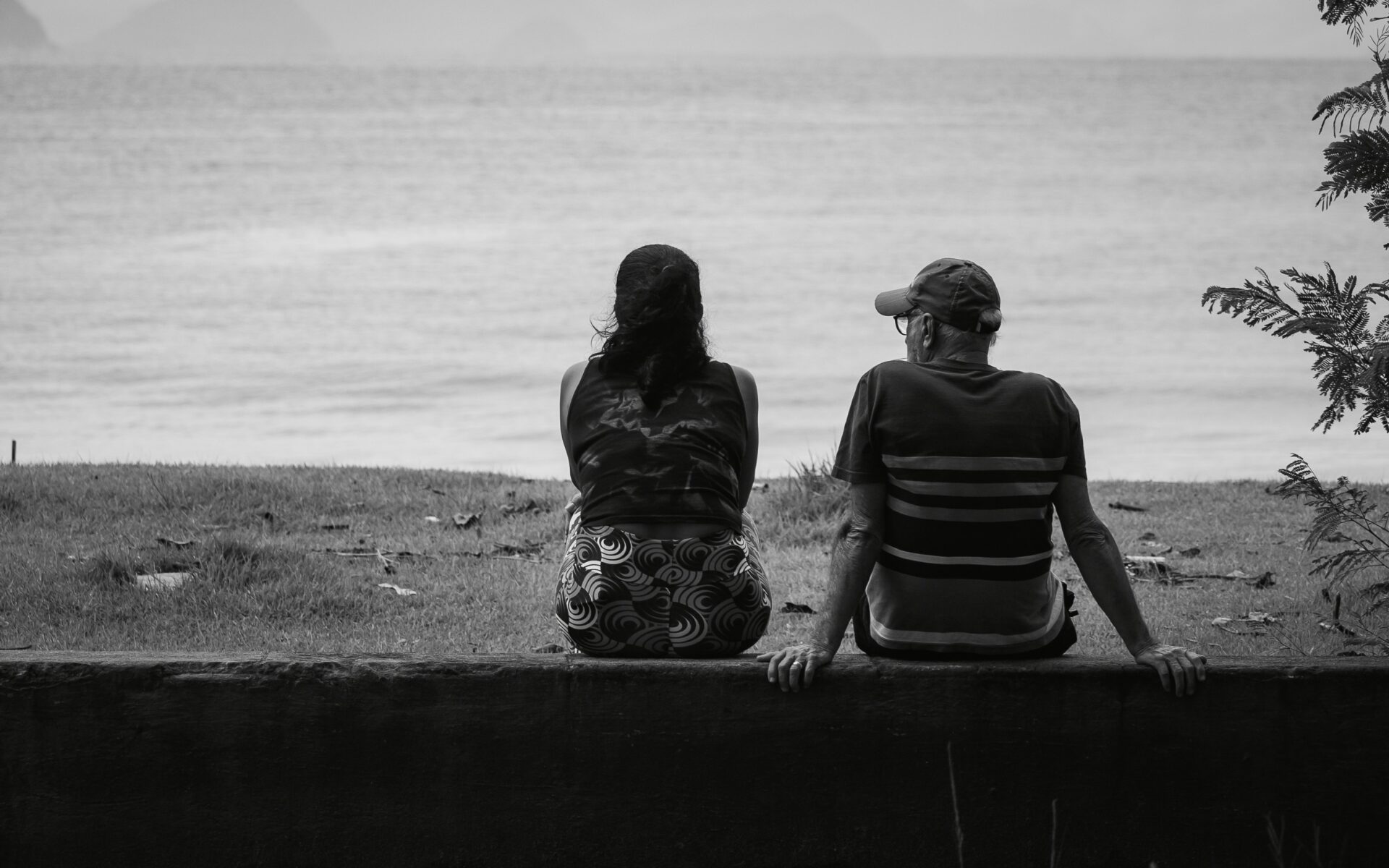 daniel damasio mXmTVdyrqmI unsplash